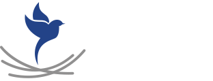The Career Nest